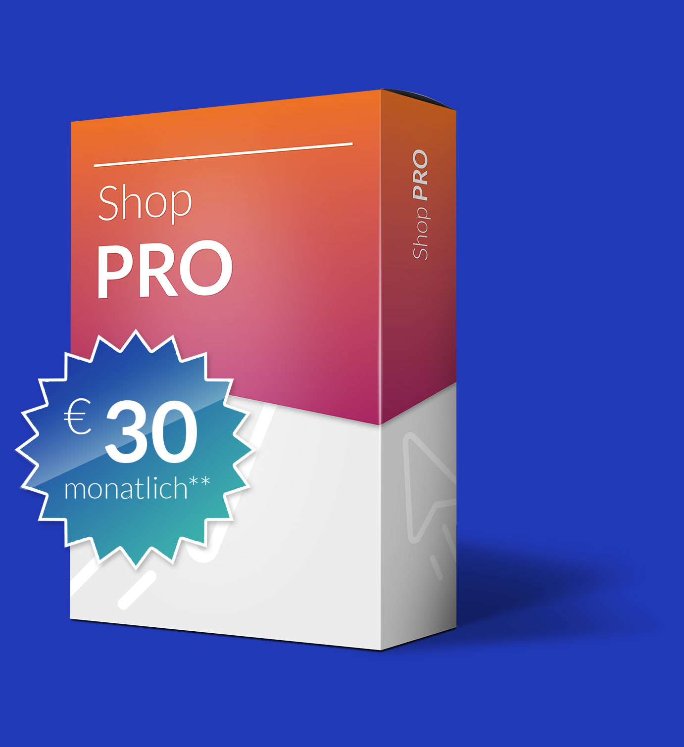 Ihr eigener Onlineshop für 30€